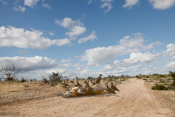 Fotos aus Salvador da Bahia, Brasilien, von Ricardo Salva