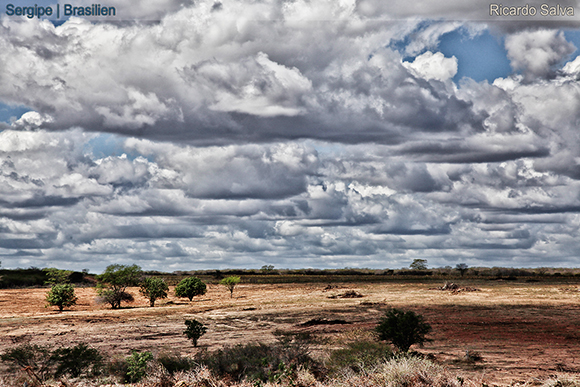 Fotos aus Salvador da Bahia, Brasilien, von Ricardo Salva