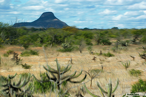 Fotos aus Salvador da Bahia, Brasilien, von Ricardo Salva