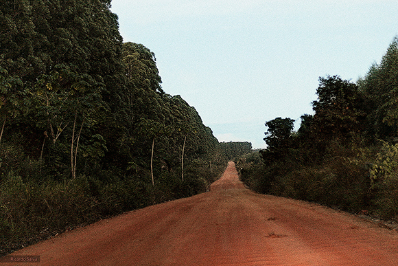 Fotos aus Salvador da Bahia, Brasilien, von Ricardo Salva
