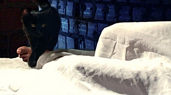 Filmszenen aus Felicidade von Ricardo Salva