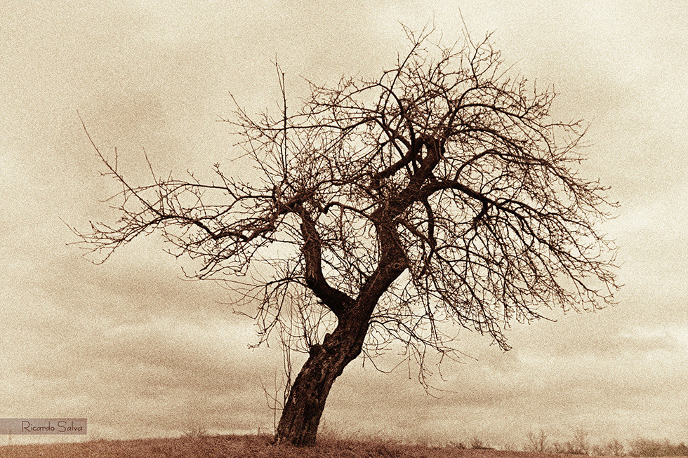 Vernissage - Fotoausstellung von Ricardo Salva