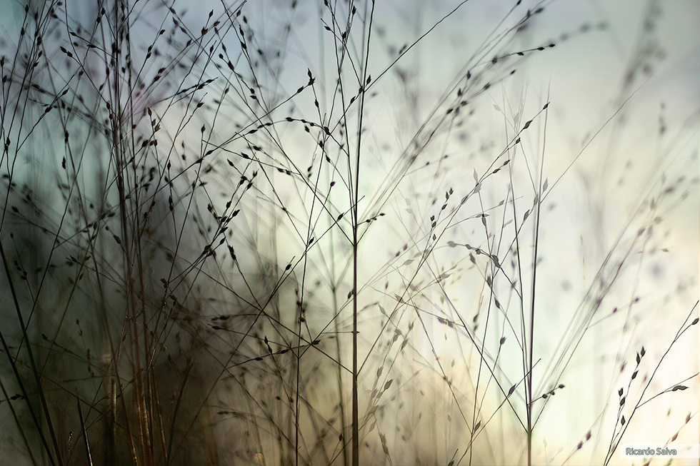 Vernissage - Fotoausstellung von Ricardo Salva