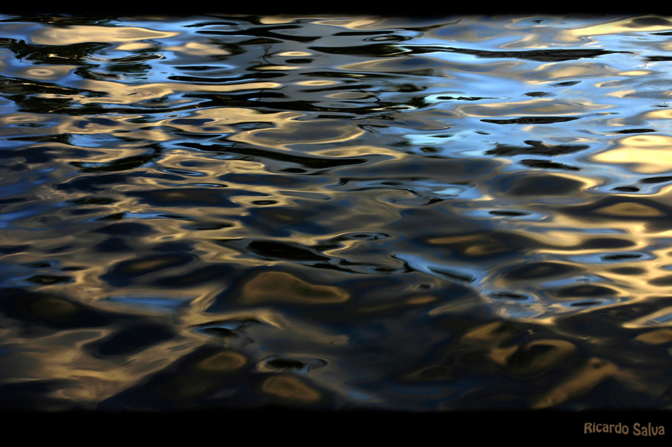 Vernissage - Fotoausstellung von Ricardo Salva